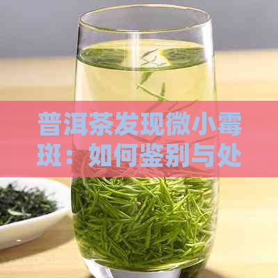 普洱茶发现微小霉斑：如何鉴别与处理？