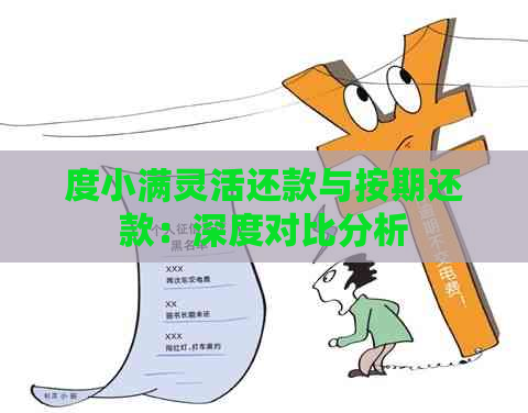 度小满灵活还款与按期还款：深度对比分析