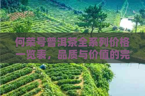 何荣号普洱茶全系列价格一览表，品质与价值的完美结合