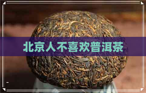 北京人不喜欢普洱茶