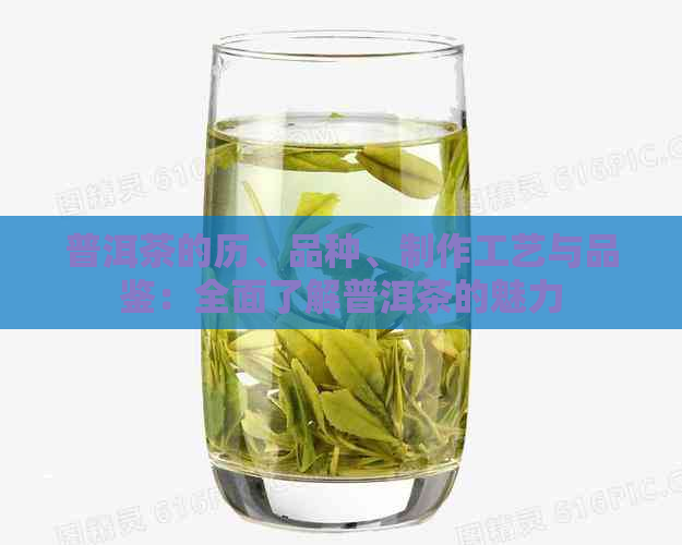 普洱茶的历、品种、制作工艺与品鉴：全面了解普洱茶的魅力