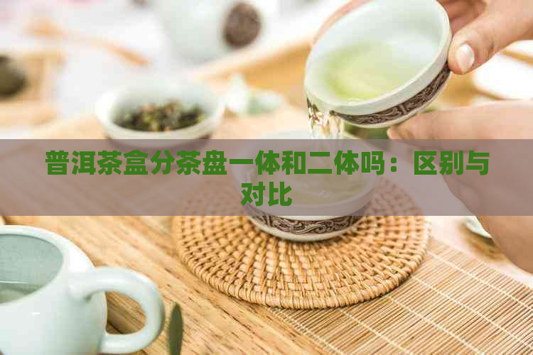 普洱茶盒分茶盘一体和二体吗：区别与对比