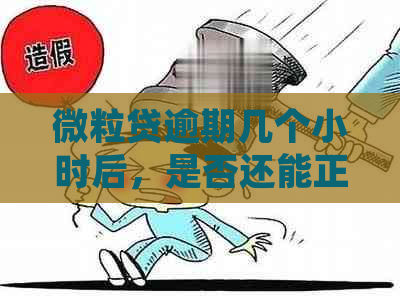 微粒贷逾期几个小时后，是否还能正常使用？如何处理逾期还款？