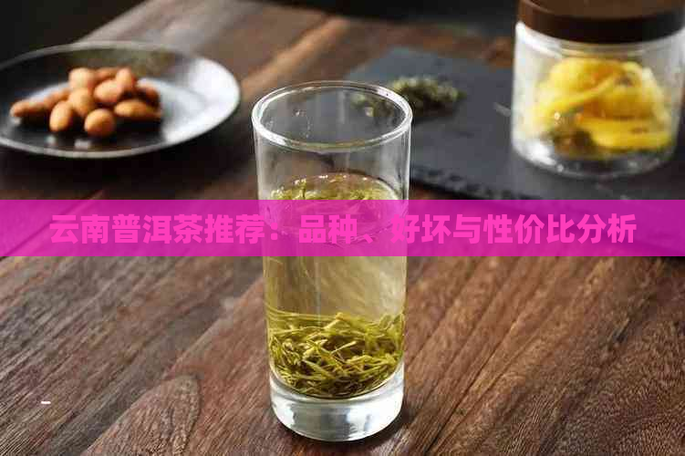 云南普洱茶推荐：品种、好坏与性价比分析