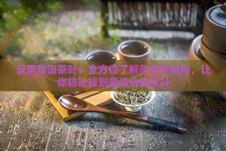 云南普洱茶叶：全方位了解与选购指南，让你轻松找到最适合的茶叶