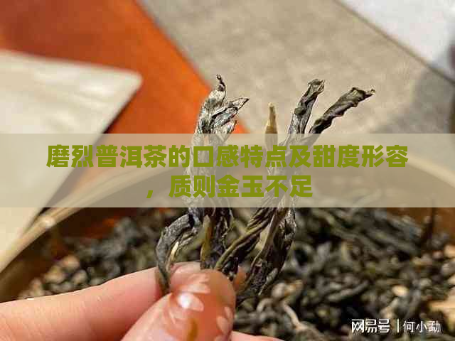 磨烈普洱茶的口感特点及甜度形容，质则金玉不足