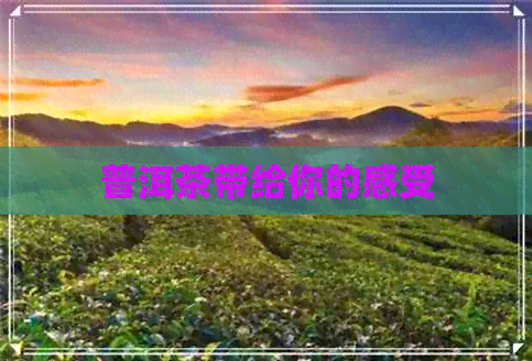 普洱茶带给你的感受