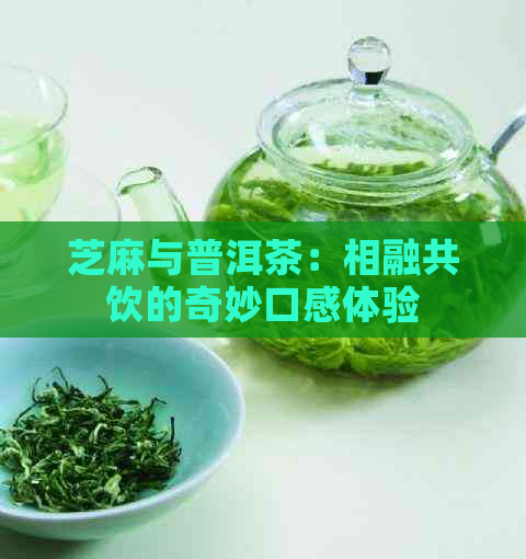 芝麻与普洱茶：相融共饮的奇妙口感体验