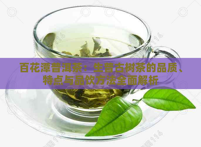 百花潭普洱茶：生普古树茶的品质、特点与品饮方法全面解析