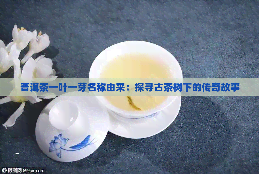 普洱茶一叶一芽名称由来：探寻古茶树下的传奇故事