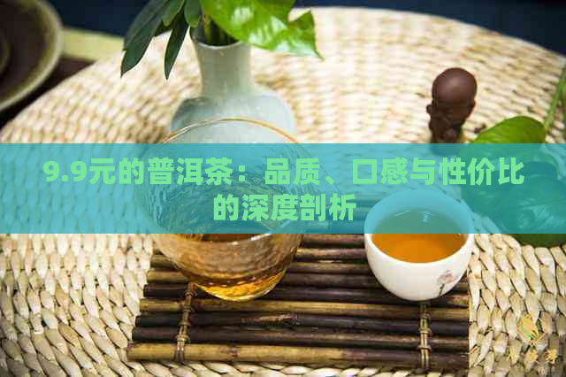 9.9元的普洱茶：品质、口感与性价比的深度剖析