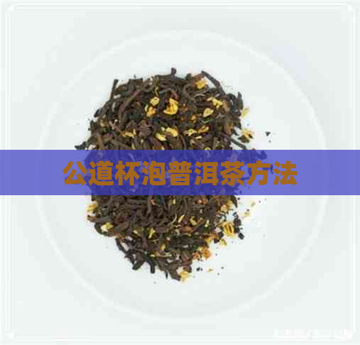 公道杯泡普洱茶方法