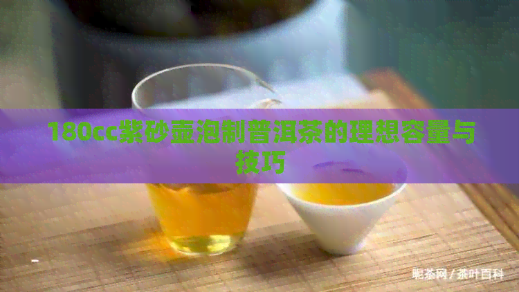 180cc紫砂壶泡制普洱茶的理想容量与技巧