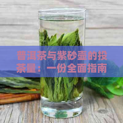 普洱茶与紫砂壶的投茶量：一份全面指南，助你轻松掌握泡茶技巧