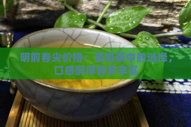 明前春尖价格：普洱茶中的选择，口感醇厚营养丰富