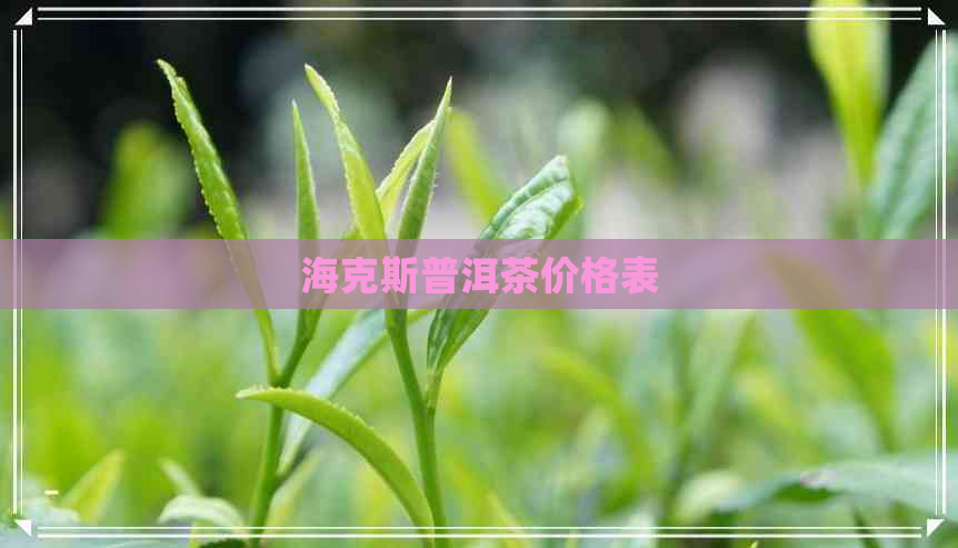 海克斯普洱茶价格表