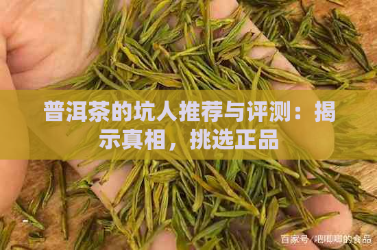 普洱茶的坑人推荐与评测：揭示真相，挑选正品