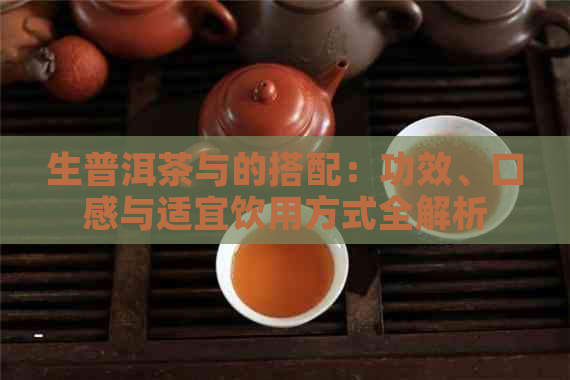 生普洱茶与的搭配：功效、口感与适宜饮用方式全解析