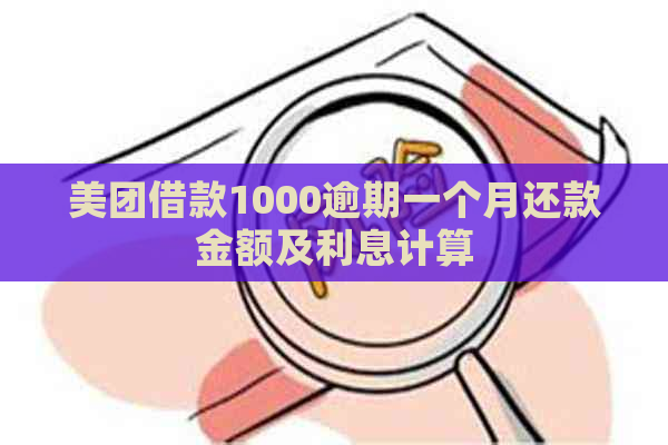 美团借款1000逾期一个月还款金额及利息计算