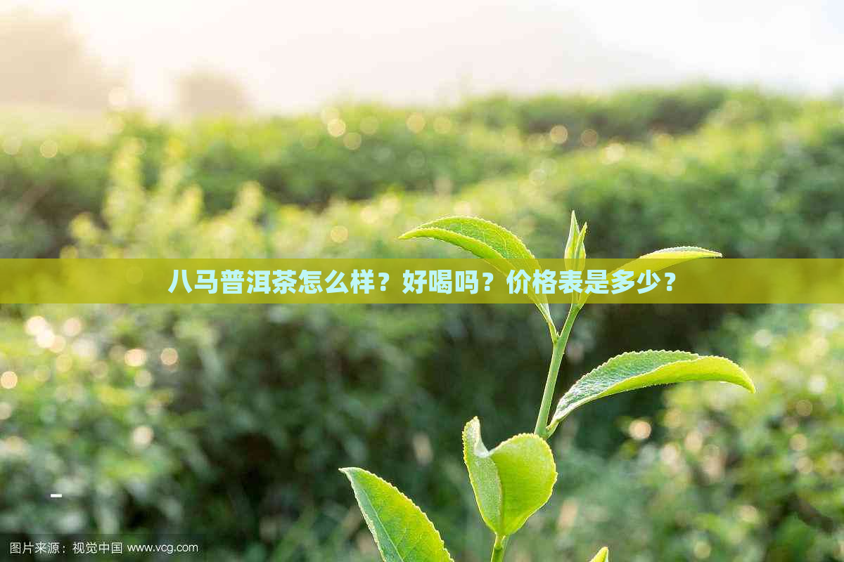 八马普洱茶怎么样？好喝吗？价格表是多少？