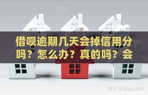 借呗逾期几天会掉信用分吗？怎么办？真的吗？会影响个人吗？