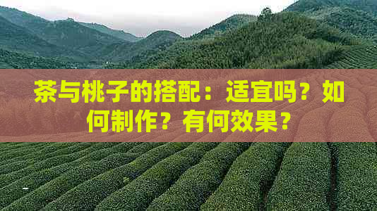 茶与桃子的搭配：适宜吗？如何制作？有何效果？