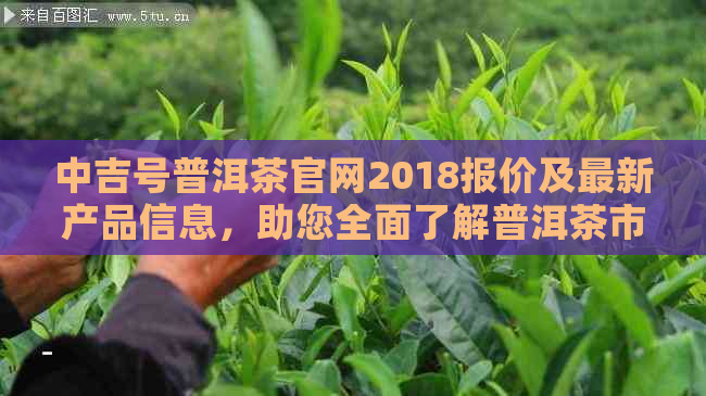 中吉号普洱茶官网2018报价及最新产品信息，助您全面了解普洱茶市场动态