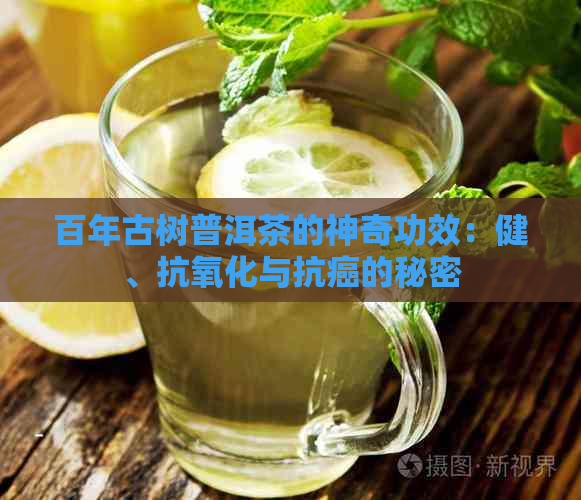 百年古树普洱茶的神奇功效：健、抗氧化与抗癌的秘密