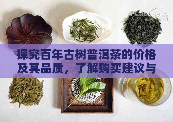 探究百年古树普洱茶的价格及其品质，了解购买建议与市场行情