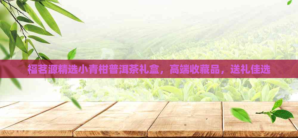 福茗源精选小青柑普洱茶礼盒，高端收藏品，送礼佳选