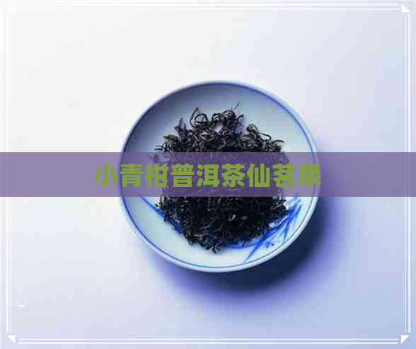 小青柑普洱茶仙茗泉