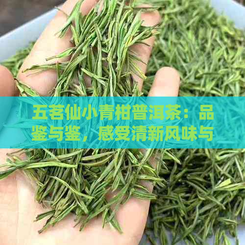 五茗仙小青柑普洱茶：品鉴与鉴，感受清新风味与陈化韵味