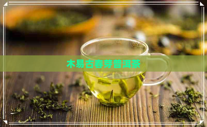 木易古春芽普洱茶