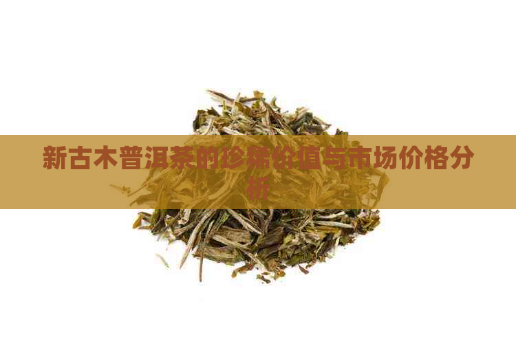 新古木普洱茶的珍稀价值与市场价格分析