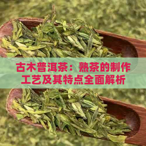 古木普洱茶：熟茶的制作工艺及其特点全面解析