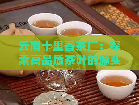 云南十里香茶厂：探索高品质茶叶的源头，了解茶叶制作过程及品尝体验