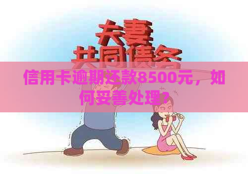 信用卡逾期还款8500元，如何妥善处理？