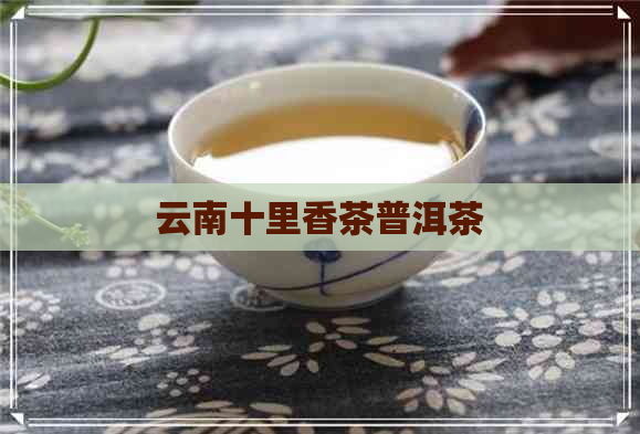 云南十里香茶普洱茶