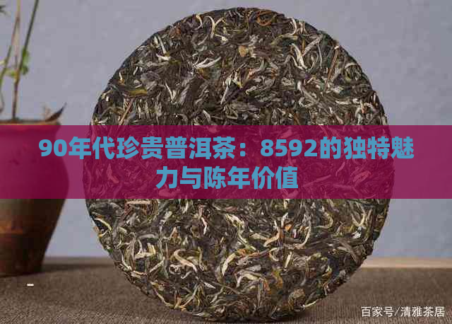 90年代珍贵普洱茶：8592的独特魅力与陈年价值