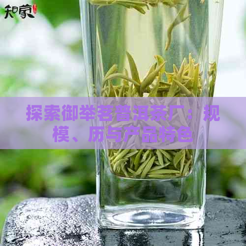 探索御举茗普洱茶厂：规模、历与产品特色