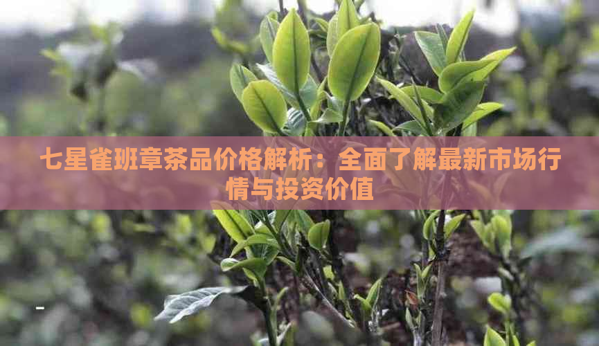 七星雀班章茶品价格解析：全面了解最新市场行情与投资价值