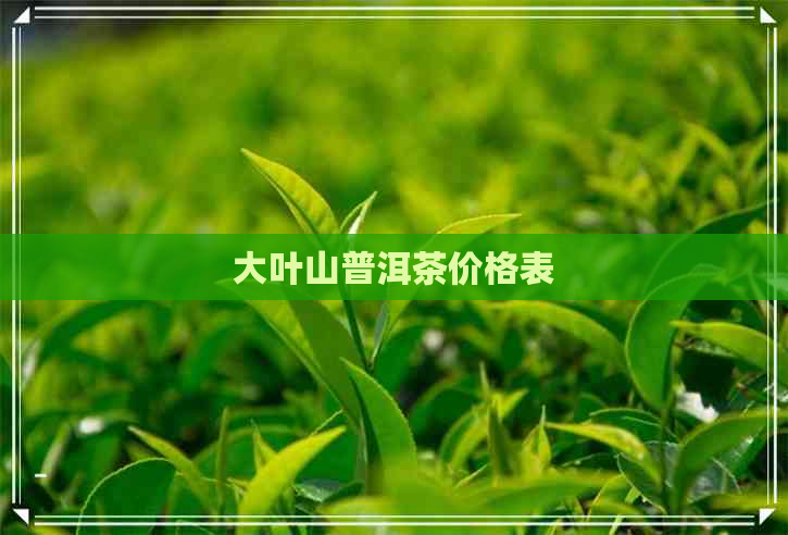 大叶山普洱茶价格表