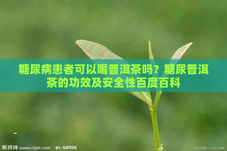 糖尿病患者可以喝普洱茶吗？糖尿普洱茶的功效及安全性百度百科