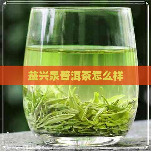 益兴泉普洱茶怎么样