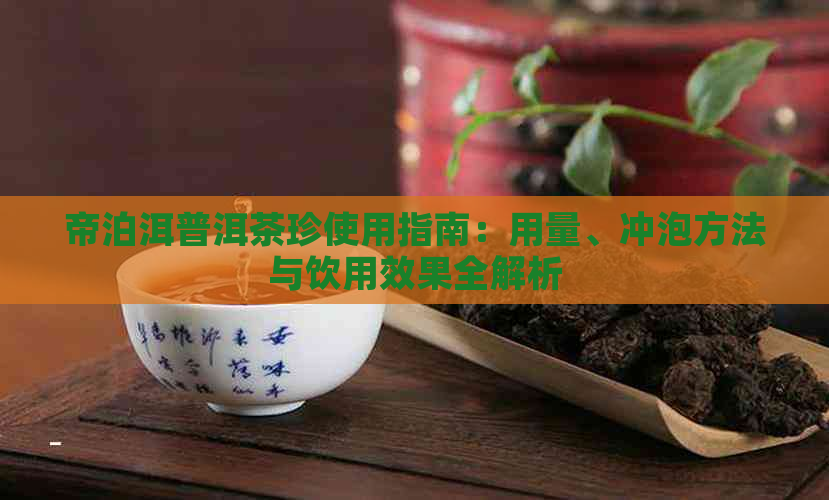 帝泊洱普洱茶珍使用指南：用量、冲泡方法与饮用效果全解析