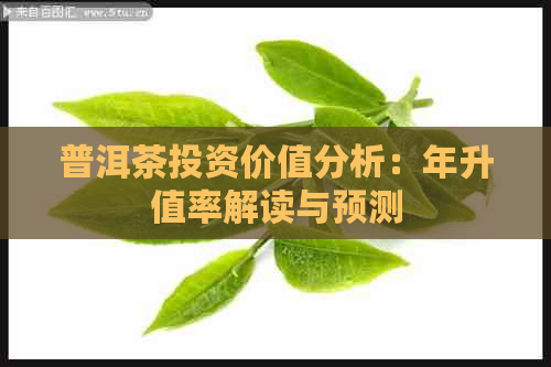 普洱茶投资价值分析：年升值率解读与预测