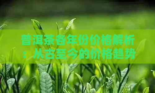 普洱茶各年份价格解析：从古至今的价格趋势与市场行情一览无余