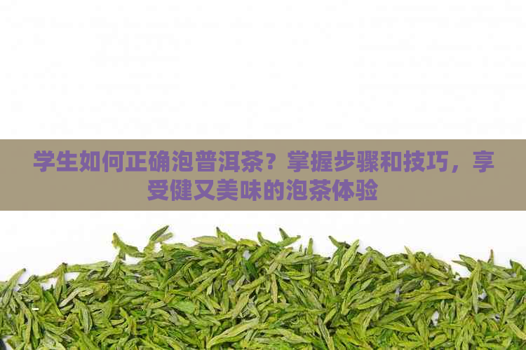 学生如何正确泡普洱茶？掌握步骤和技巧，享受健又美味的泡茶体验