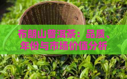 布朗山普洱茶：品质、年份与市场价值分析