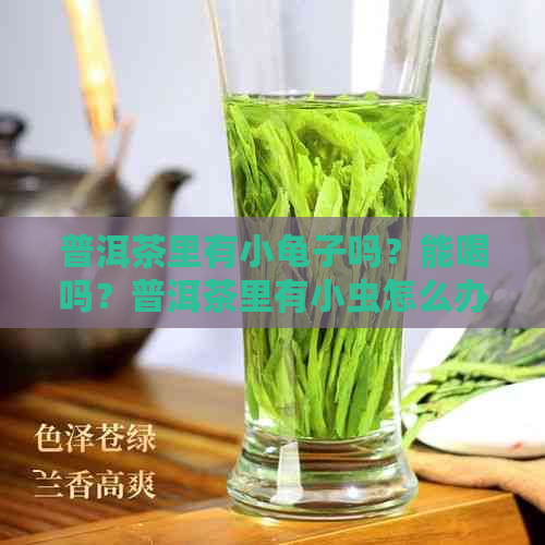 普洱茶里有小龟子吗？能喝吗？普洱茶里有小虫怎么办？